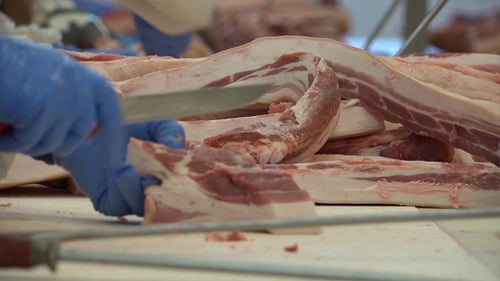 Raw Pork Belly Prepared at Meat Processing Plant