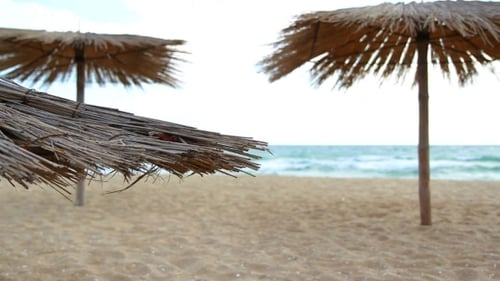 Sandy Beach With Thatched Umbrellas On A Windy Day