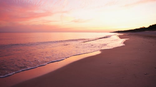 Sea