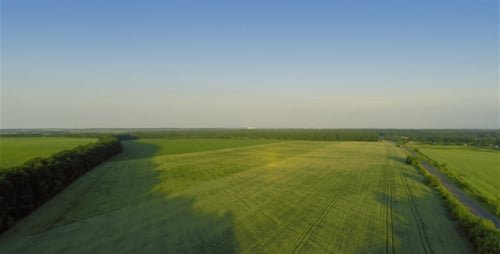 Fast Flying Over Green Field