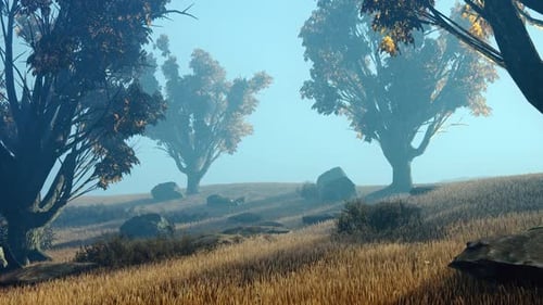 Autumn Trees In The Field