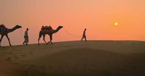 Deux chameliers indiens (chameliers) bédouins avec des silhouettes de chameaux dans les dunes de sable du désert du Thar sur