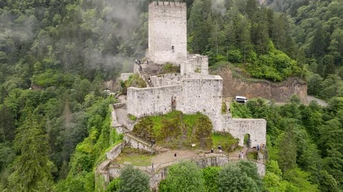 Castle In The Forest