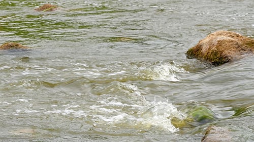 Fast Flowing River With Stones In The Water