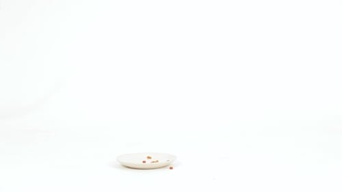 Gray Tabby Cat Walks Past Dish on White