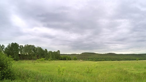 Grüne Wiese Und Wolken