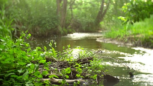 River 3