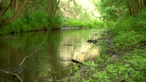 River 5