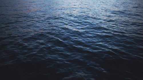 Ocean