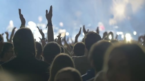 Excited Crowd Enjoying Concert at Music Venue