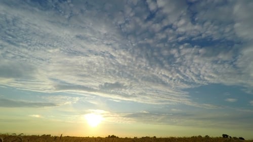 Sunset Sky over a Wheat Field