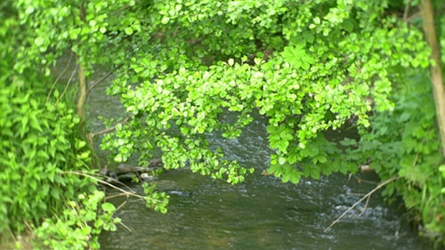 River