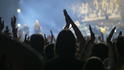 Energetic Crowd Applauding Musicians at Live Concert