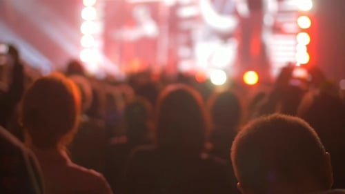 Enthusiastic Crowd Enjoying a Music Concert at Night