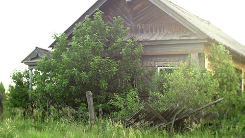Abandoned House Overgrown with Greenery in Rural Setting