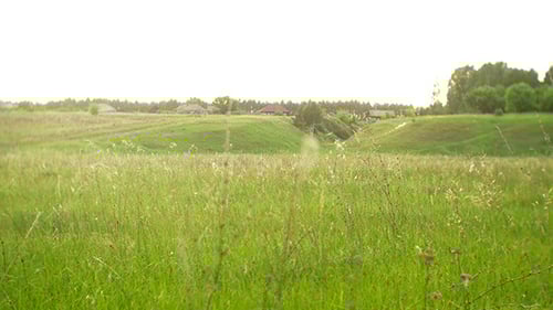 Lush Green Meadows Rolling Hills Rural Landscape