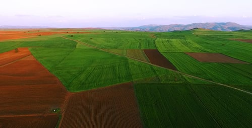 Field