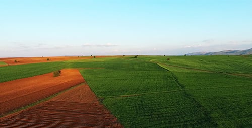 Landwirtschaftliches Ackerland