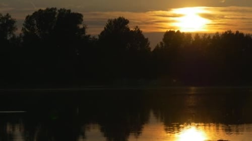Sunset on The River, Silhouettes of Trees And Sky