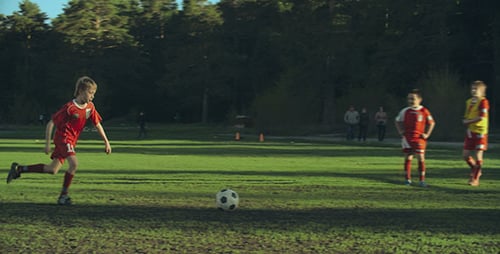 Children Celebrate Soccer Goal on Grassy Field