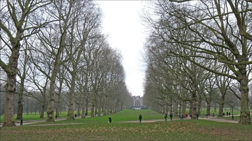 Menschen, die ihren morgendlichen Spaziergang im Green Park machen