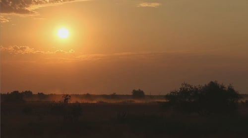 Sunrise Over The Meadow
