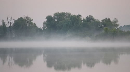 Morning Mist Over The River