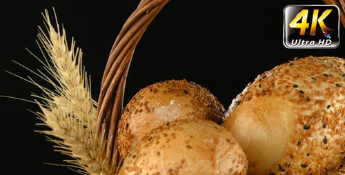 Bread Wheat Egg and Flour Concept 10