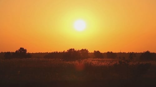 Sunrise Over Wild Meadow 3