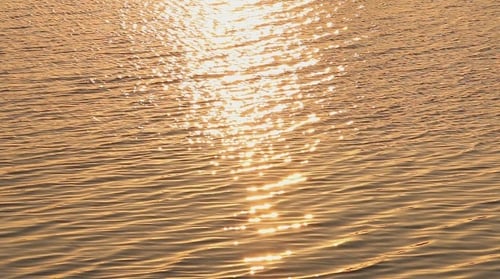 Golden Sunlight Reflecting on Gentle Ocean Waves