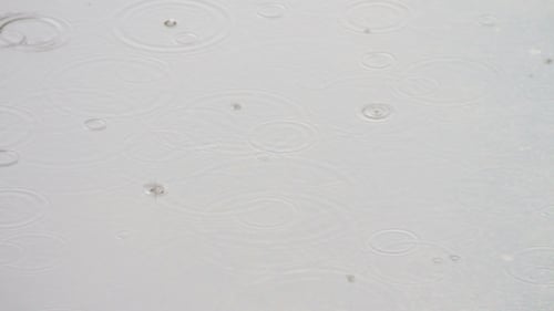 Rain Dripping Through The Puddles