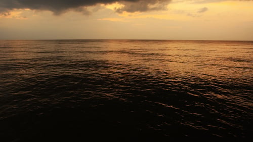 Ocean