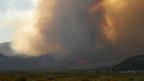 Forest Fire Burning Mountainside