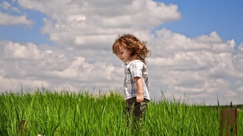 Cute Boy Jumping In Green Meadow