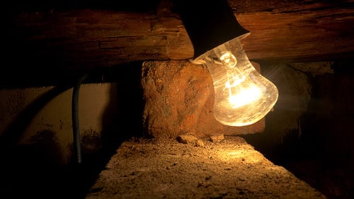 Illuminated Lightbulb Shines in Dark, Wooden Setting