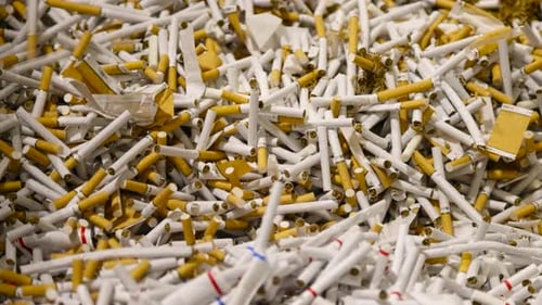 Cigarettes in Bulk