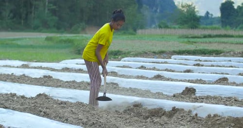 Girl Hoeing Vegetable Garden Soil