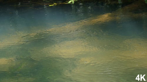 Water Flowing In The River