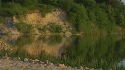 Pond, River, Lake Beach, Rippling Water, Trees`