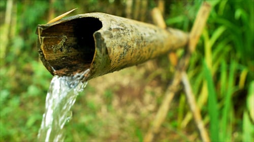 Água de bambu Característica 12