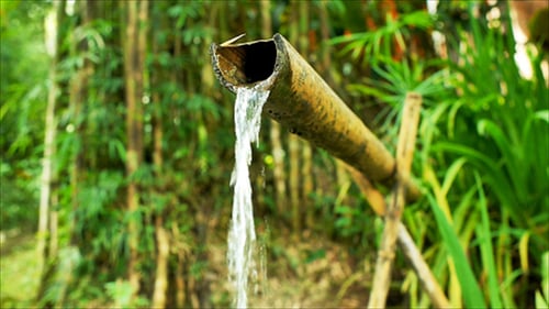 Água de bambu Característica 11