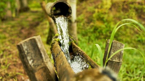 Água de bambu Feature 09