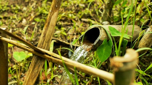 Água de bambu Feature 04