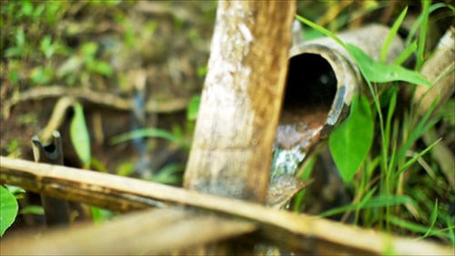 Moinhos de água de bambu