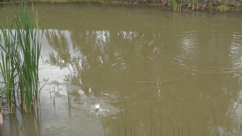 Angeln und Float