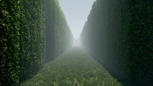 Journey Through a Green Hedge Maze Path