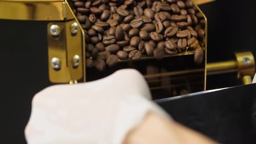 Pouring Roasted Coffee Beans Into Container