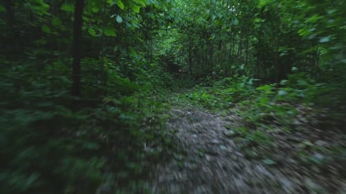 Escapar en la ruta de senderismo