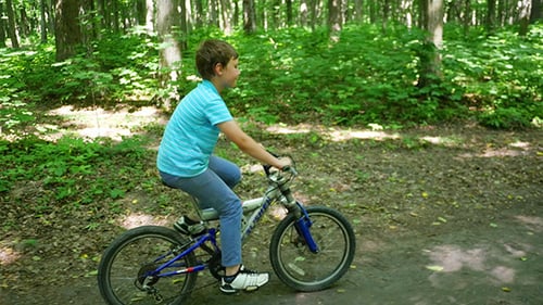 Boy Biking On Forest Trails
