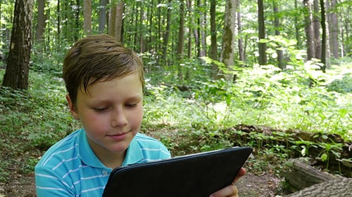 Boy With Tablet In The Forest